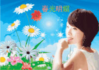 春光明媚 陈明 花朵