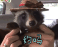 约吗 撩