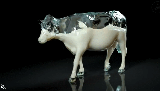 奶牛 玻璃  牛 牛逼