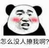金馆长 红脸蛋 咧嘴 熊猫 怎么没人撩我