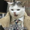 猫咪 喵星人 大胆逆子 气死爸爸吗 斗图 搞笑 可爱