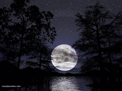 月亮 树林 河水 映月