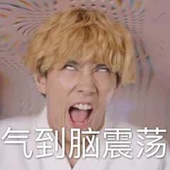 我是大哥大 斗图 生气 气到脑震荡