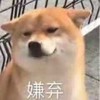 萌宠 汪星人 嫌弃 别过来 呆萌 憨憨