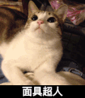 面具超人 猫咪 可爱 大眼睛