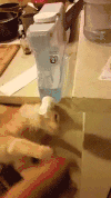 饮水机 电器 矿泉水