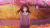 冰菓 女孩 花瓣 二次元