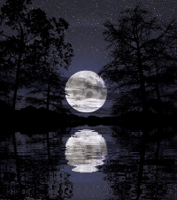 月亮 moon 满月 倒影 涟漪 星空 对称