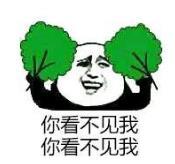 暴漫 文字表情包 你看不见我你看不见我 搞笑 逗 沙雕