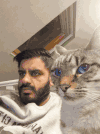 主人 猫咪 眼神 搞笑