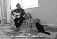 国外 男子 弹吉他 猫咪