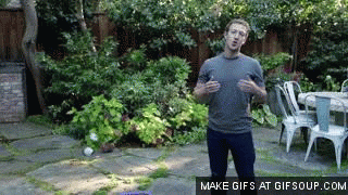 扎克伯格 Zuckerberg 自我挑战 冰水挑战 公益