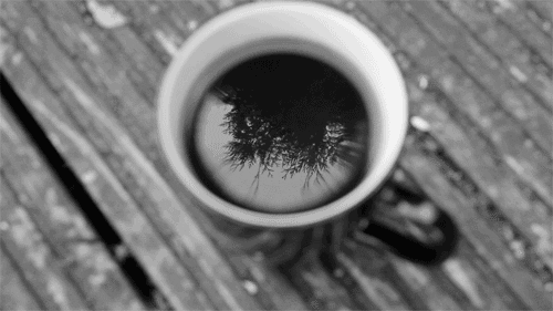 森林 咖啡 黑色和白色 落下 茶 秋天 我爱咖啡