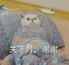 萌宠 喵星人 关下灯 帮忙把灯关一下 呆萌 可爱