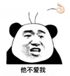 熊猫人 他不爱我 暴漫 沙雕拔头发 拔毛 熊猫头拔毛