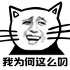 暴漫 猫 我为何这么叼 赞 自恋