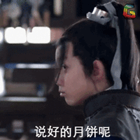 琅琊榜 电视剧 好看