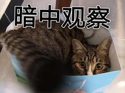 萌宠 可爱 喵星人 逗 文字表情包