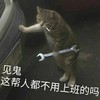 猫咪 抽烟 拿扳手 见鬼这帮人都 不用上班的吗