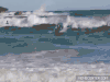 冲浪  海浪 水上运动 落海 surfing