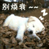 动画 卡通 熟睡 表来烦我