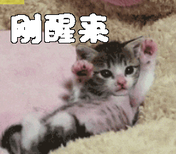 猫咪刚醒来醒了gif动图_动态图_表情包下载_soogif