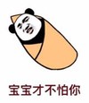 宝宝才不怕你   自信   熊猫人 
挑衅