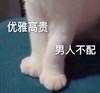 萌宠 猫星人 优雅搞怪 男人不配 生气 呆萌 可爱