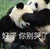 萌宠 熊猫 好了 你被哭了 呆萌 可爱