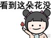 动漫 小朋友 鲜花 看到这朵花没