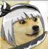 狗 你开心就好 瞪视 高冷