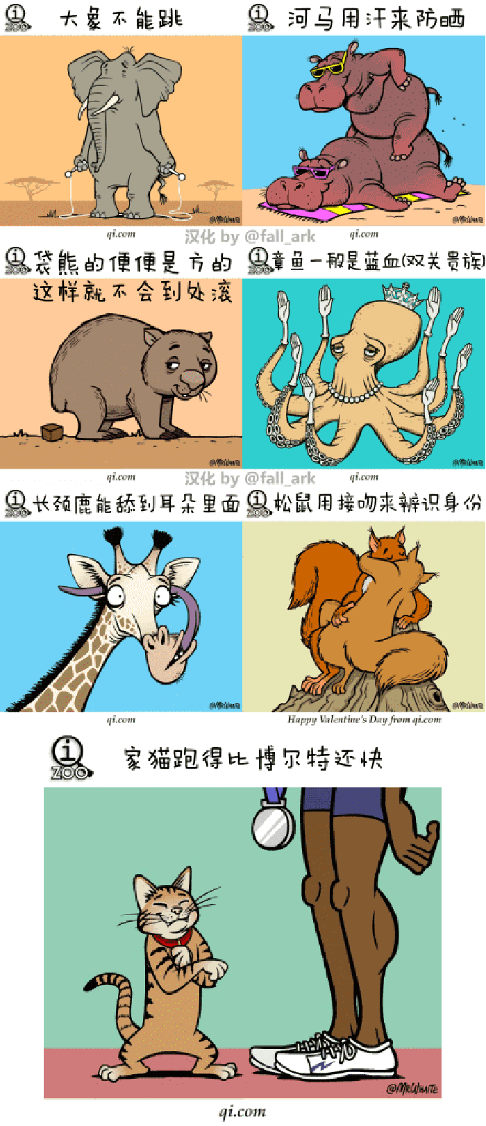 动物 卡通 萌 插画