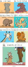 动物 卡通 萌 插画