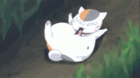 夏目友人帐 猫咪老师 蠢萌 滑行