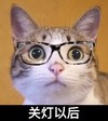 猫咪 关灯以后 搞笑 可爱
