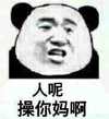 人呢 张学友 熊猫人 有人吗 在不在