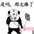 熊猫人 熊猫 小熊猫