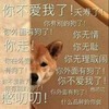 狗狗 你不爱我了 你走 搞怪 可爱