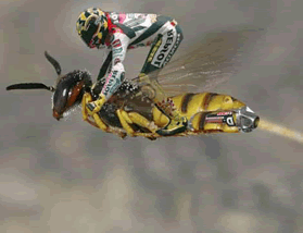 特效 蜜蜂 摩托车手 飞翔