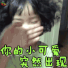 权律二 你的小可爱突然出现 卖萌 soogif soogif出品