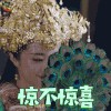 独孤天下 胡冰卿 独孤迦罗 惊不惊喜 soogif soogif出品