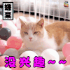 萌宠 猫咪 猫 拒绝 没兴趣 嫌弃 soogif soogif出品