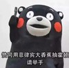 黑熊 红脸蛋 请举手 可爱