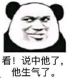 暴漫 文字表情包 看 说中她了 他生气了 搞怪 沙雕 魔性