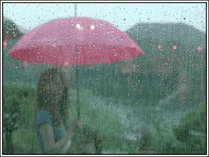 雨天 打伞 唯美意境 年轻女子