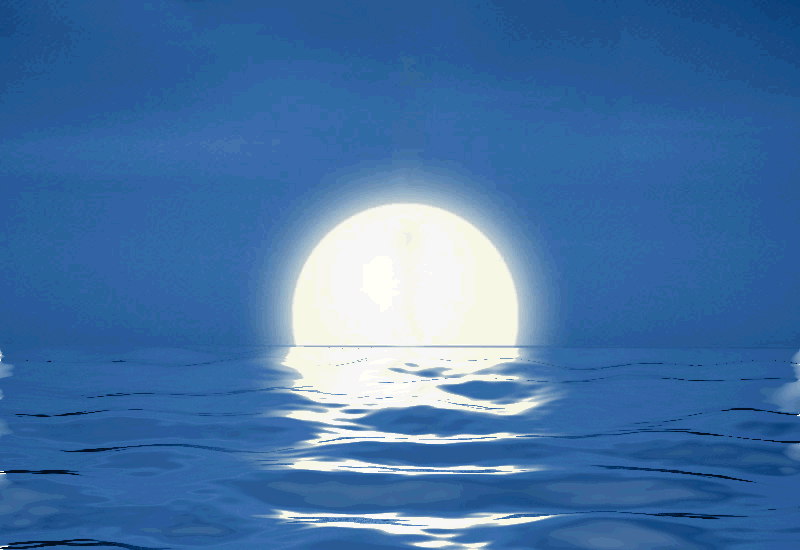 月亮 大海 夜空 明亮