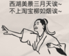 西湖美景 搞笑 斗图  淘宝