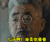 河神 李现 张铭恩 儿子啊 我是你爸爸
