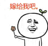 求爱 送你一朵花 恶搞 嫁给我吧