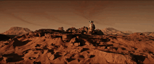 火星 奇特 岩石 生命
